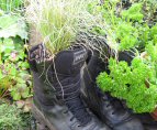 James Hyde Gardening - Old Boots with Carex - Click to enlarge