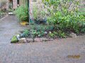 James Hyde Gardening - Example Before - Click to enlarge